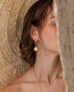 Coastal Circle & Shell Stud Earrings - Gold Plated
