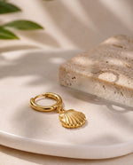 Coastal Circle & Shell Stud Earrings - Gold Plated