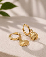 Coastal Circle & Shell Stud Earrings - Gold Plated