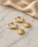 Coastal Circle & Shell Stud Earrings - Gold Plated